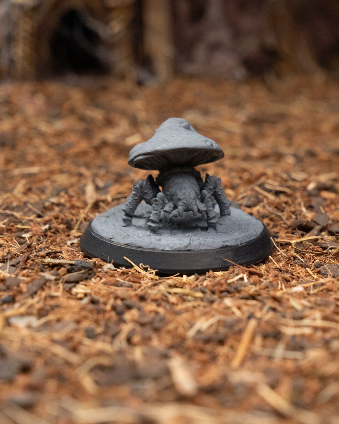 Spidershroom 3