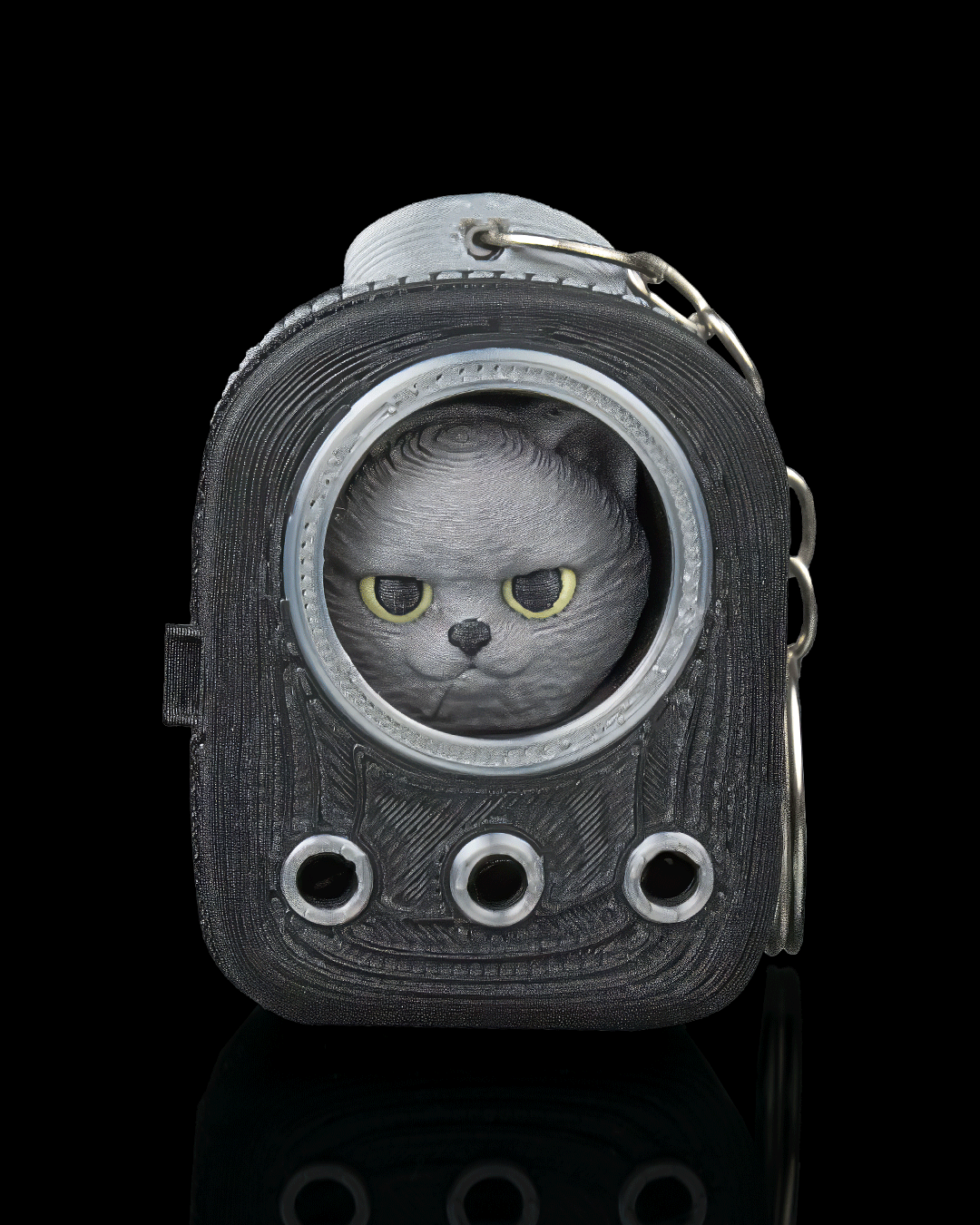 CatPacks - British Shorthair