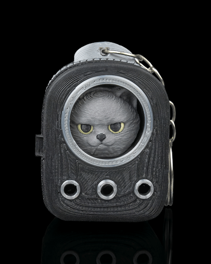 CatPacks - British Shorthair