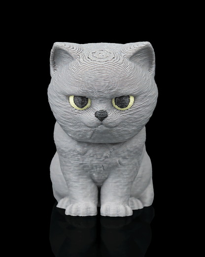 CatPacks - British Shorthair