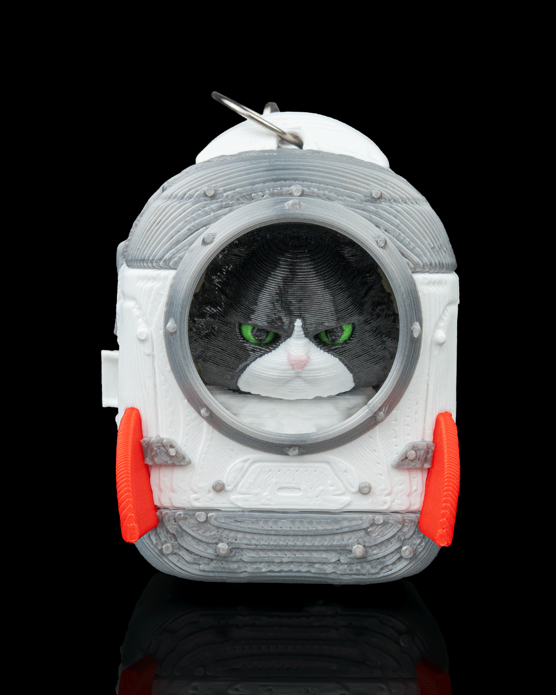 CatPacks - Maine Coon