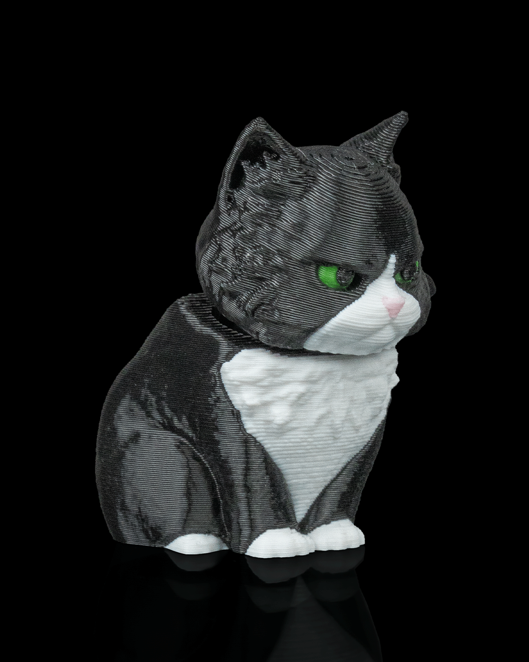CatPacks - Maine Coon