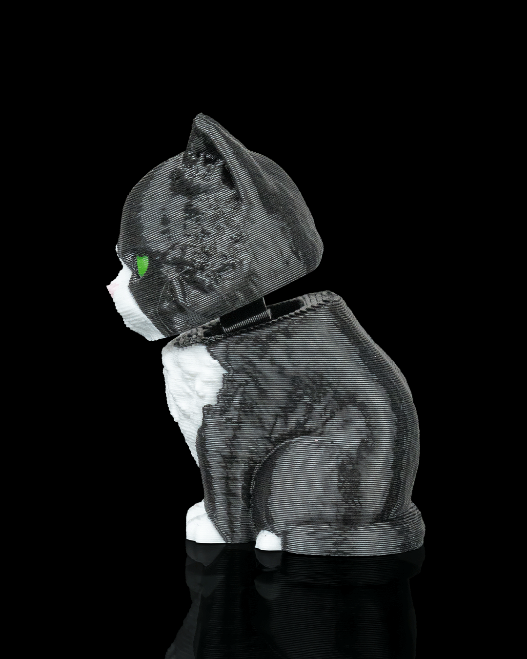 CatPacks - Maine Coon