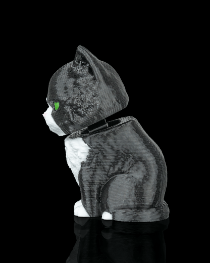 CatPacks - Maine Coon