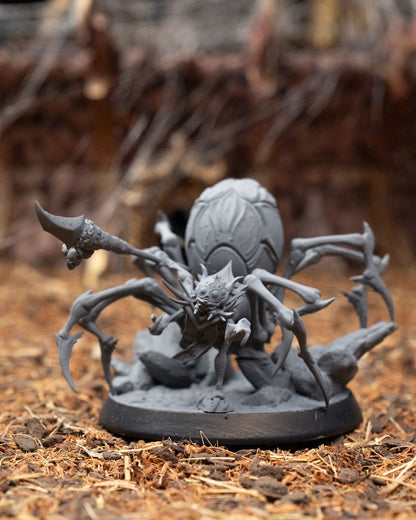 Spider Shaman