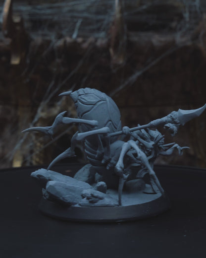 Spider Shaman
